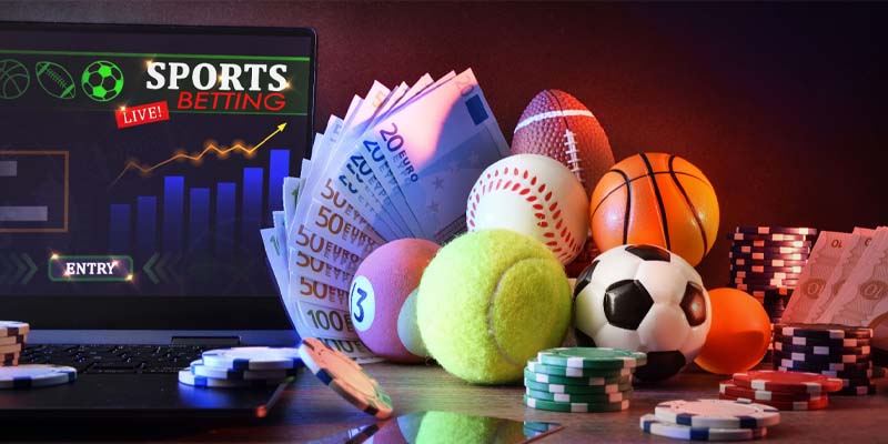 Sảnh IM Thể Thao – Lựa Chọn Hấp Dẫn Cho Người Đam Mê